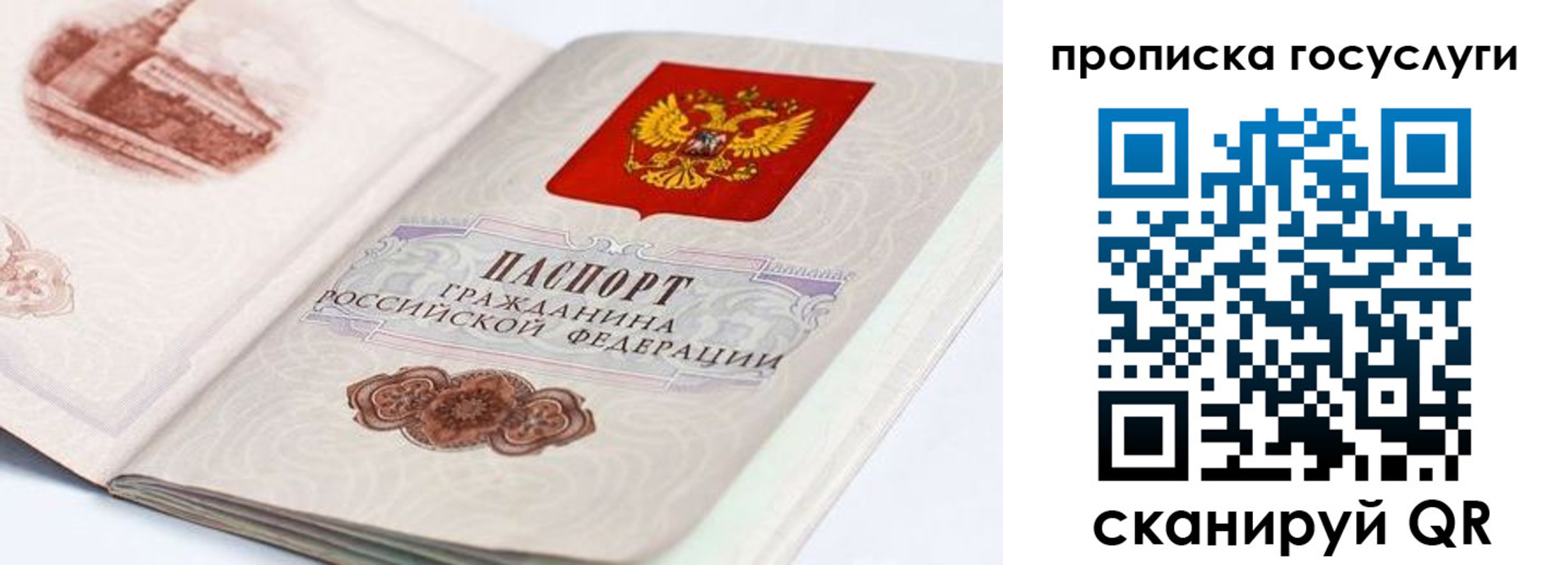 прописка гарантия в Шумихе
